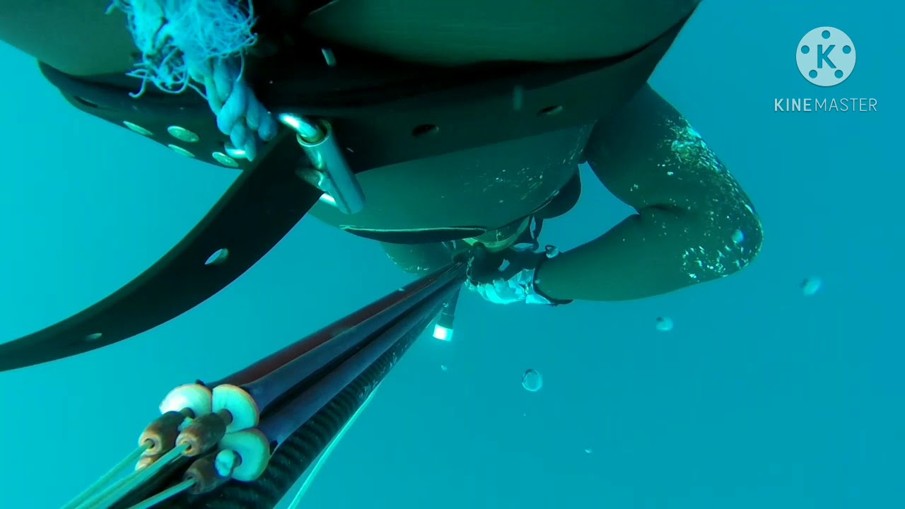 spearfishing Algeria November 2020