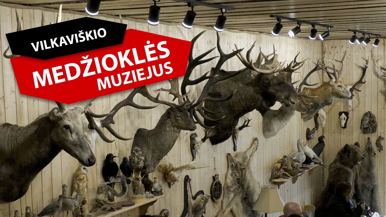 Vilkaviškio miškuose atidarytas medžioklės muziejus