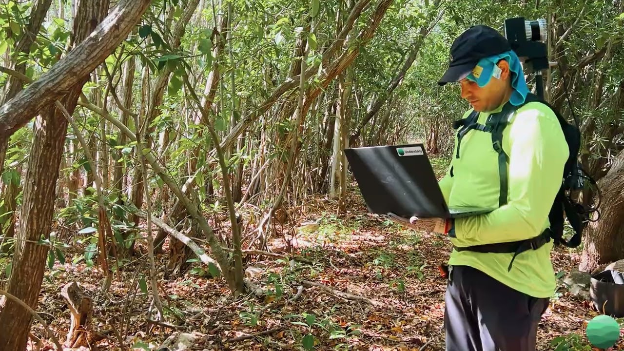 Mangrove Carbon Estimation Project - Mexico