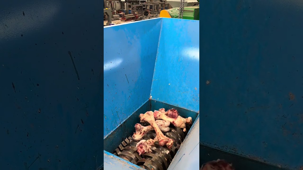 Discarded cow bone shredders are crushed and processed turning waste into treasure#Shredde
