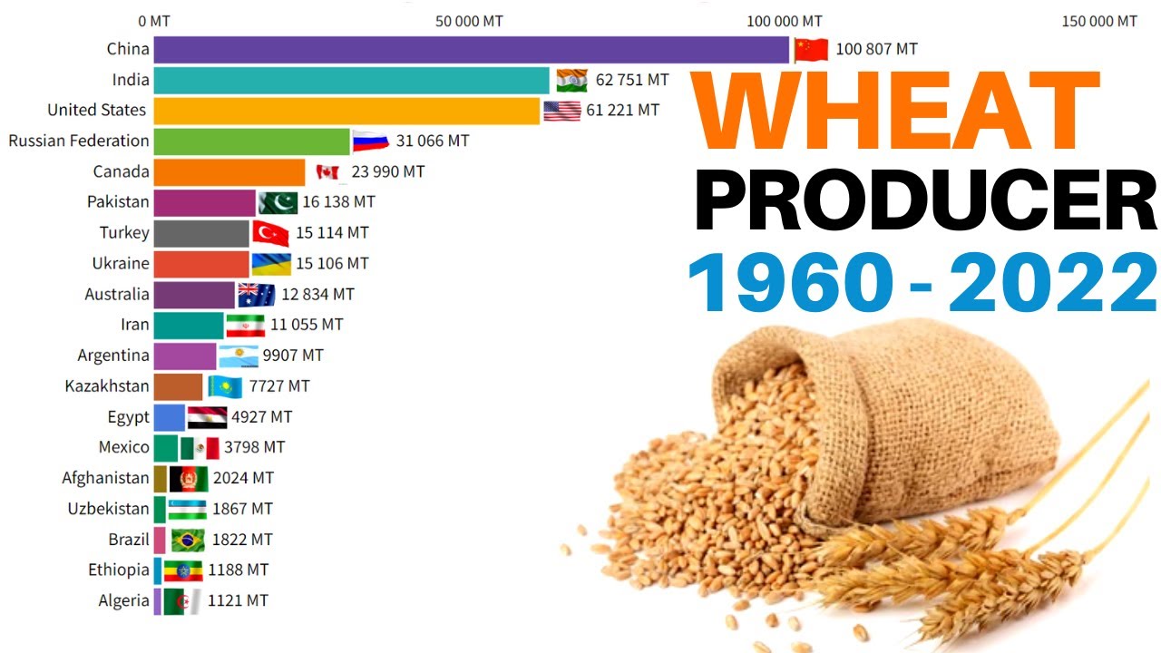 Top 20 most wheat production country (1960 - 2022) || largest wheat producers in the world 2022