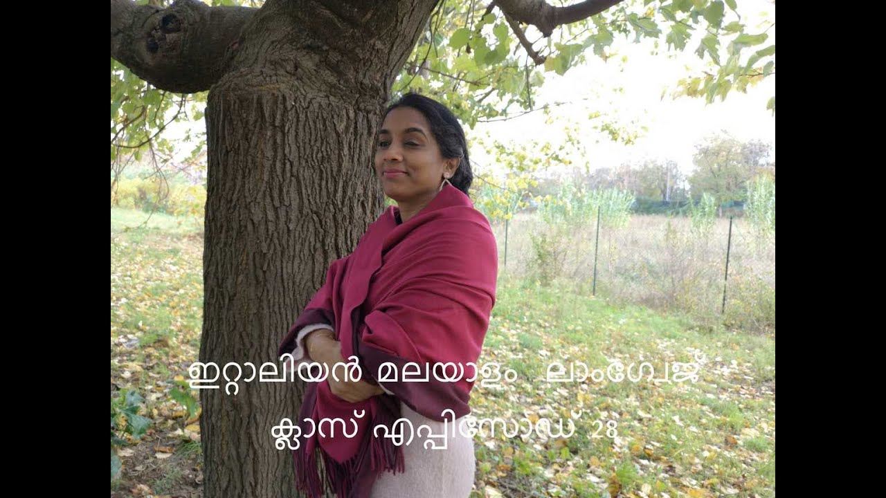 Italian malayalam language class episode 28 ഇറ്റാലിയൻ സംസാരിക്കാൻ  അറിഞ്ഞിരിക്കേണ്ട 10 വെർബ് കൾ