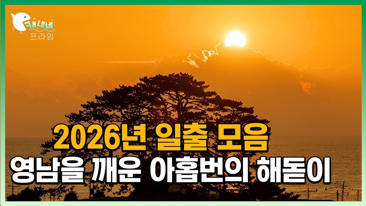 2026년 4K일출 │ 감악산부터 남해까지, 영남의 아침을 기록하다From Mountains to the Sea of Yeongnam