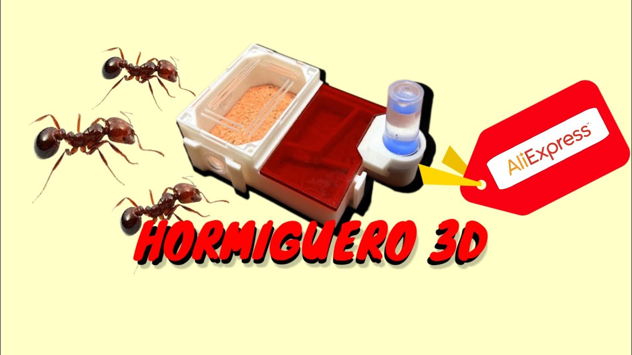 Hormiguero 3D AliExpress