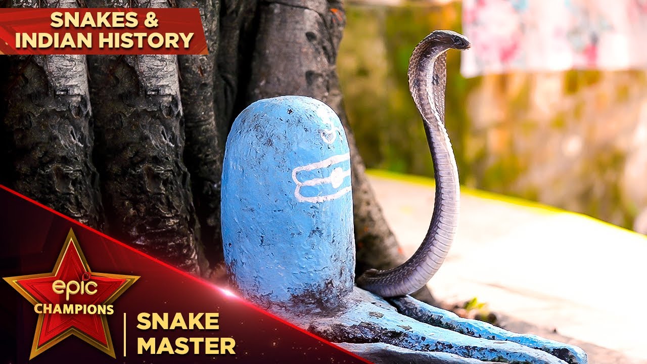 Epic Champions | Snakes & Indian History | Snake Master Series