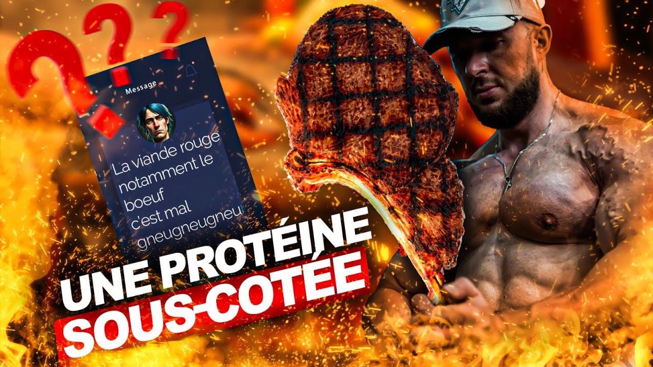 Proteines / testostérone / perte de graisse