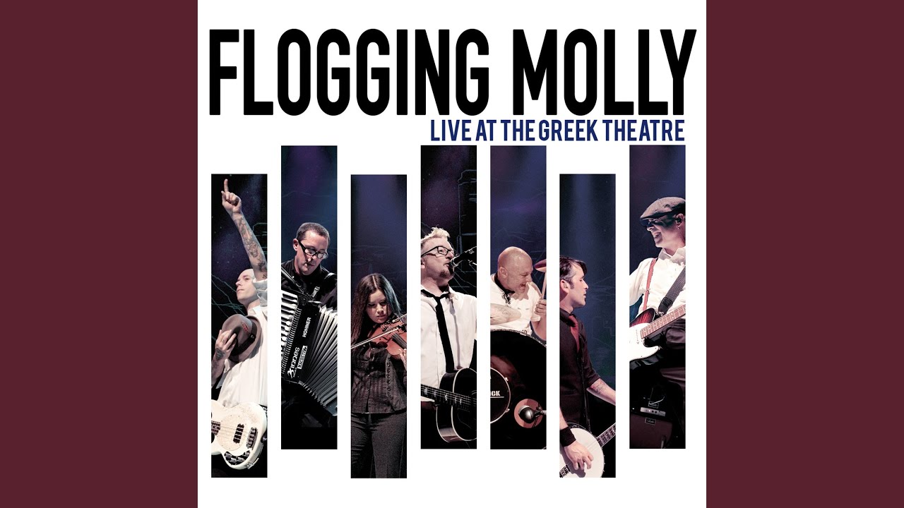 (No More) Paddy's Lament (Live)
