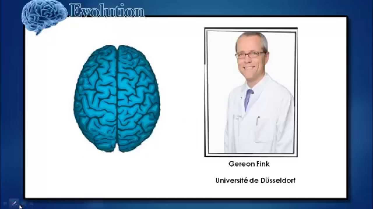 Cerveau droit cerveau gauche faites ce test de 5 seconde pour savoir lequel vous utilisez
