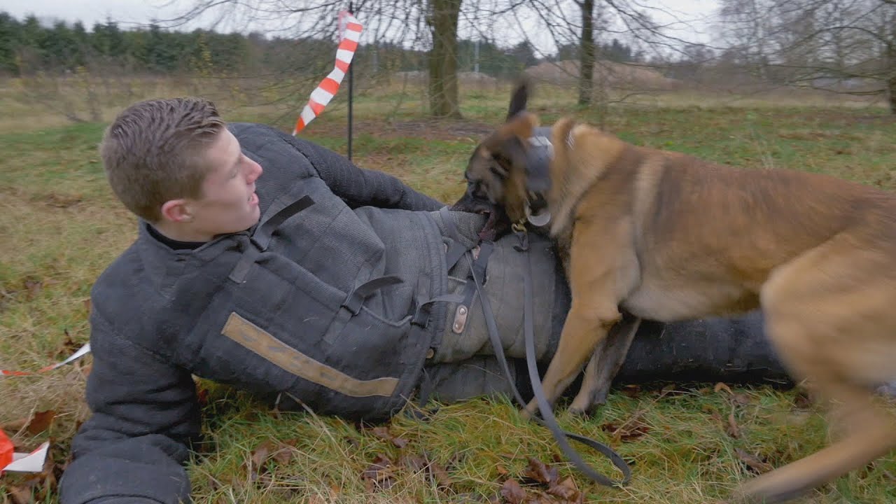 Ontsnappen aan politiehond | Kaal of Kammen