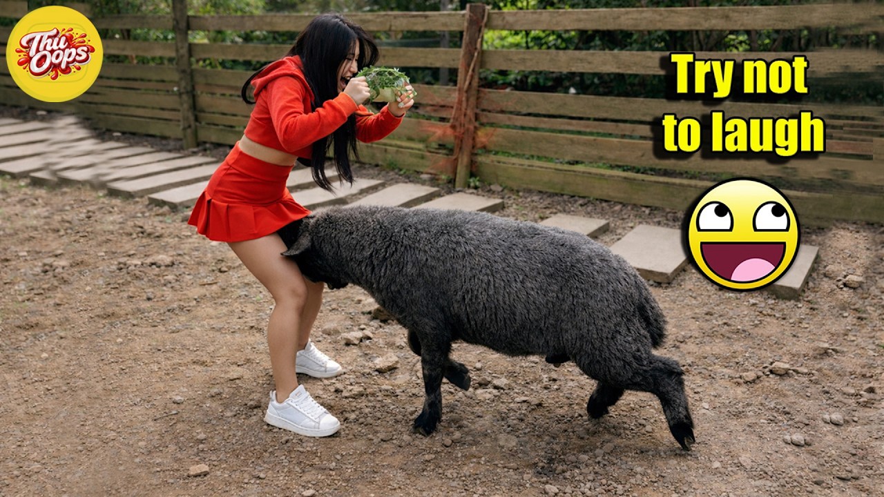 Try Not To Laugh 🤣 Top 100 Funniest Videos Ever 🎬🔥 Memes, Epic Fails & Pranks Compilation Part 65