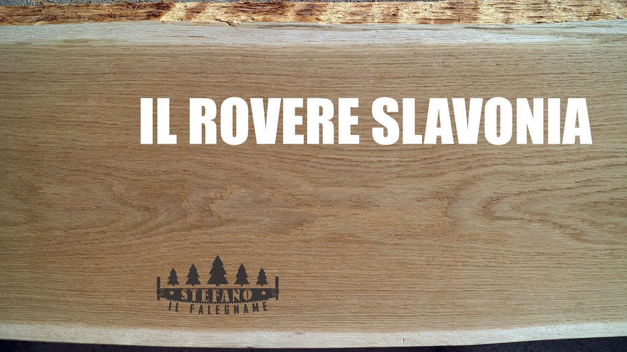 IL ROVERE SLAVONIA - Enciclopedia del legno