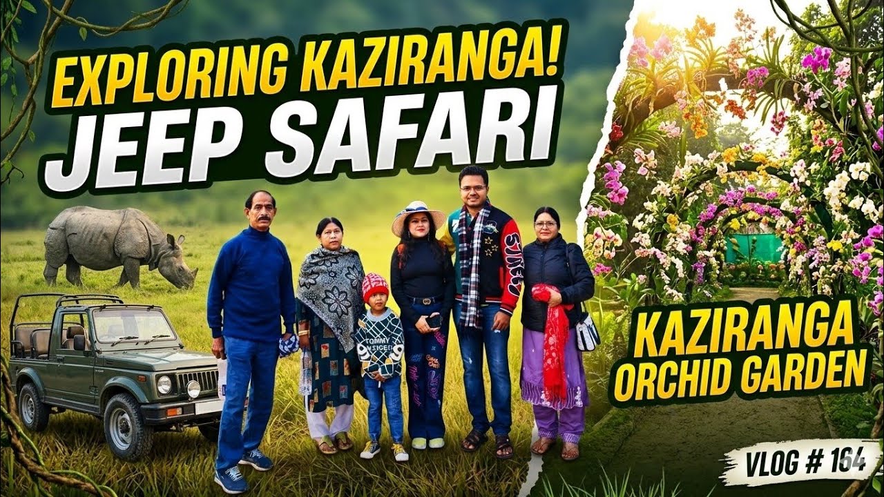 KAZIRANGA NATIONAL PARK SAFARI । KAZIRANGA ASSAM । WILDLIFE | AVICHITA VLOGS