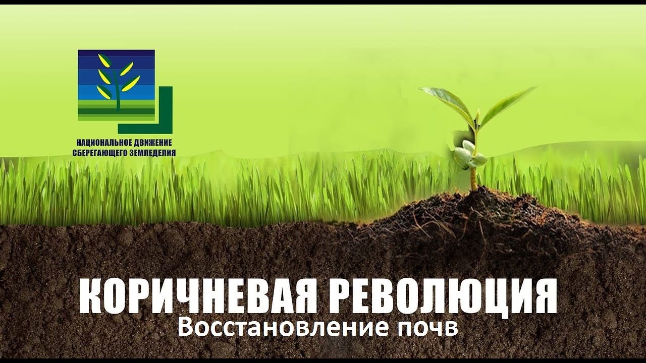 Фильм 