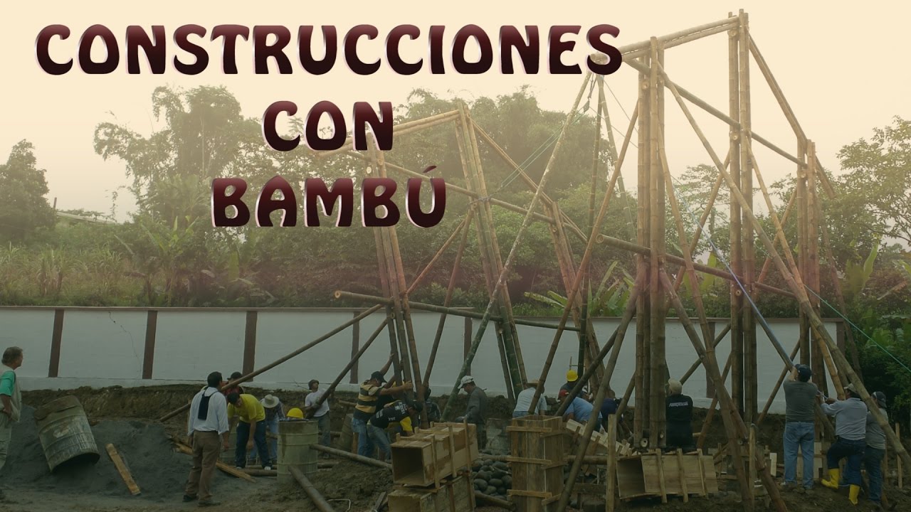 Especial Proyecto Construcciones con Bambú