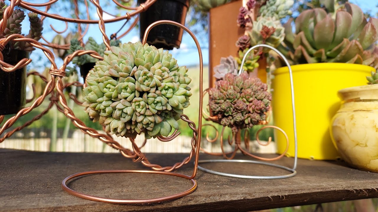 Esfera de suculentas com suporte de arame galvanizado . #decoração #suculentas