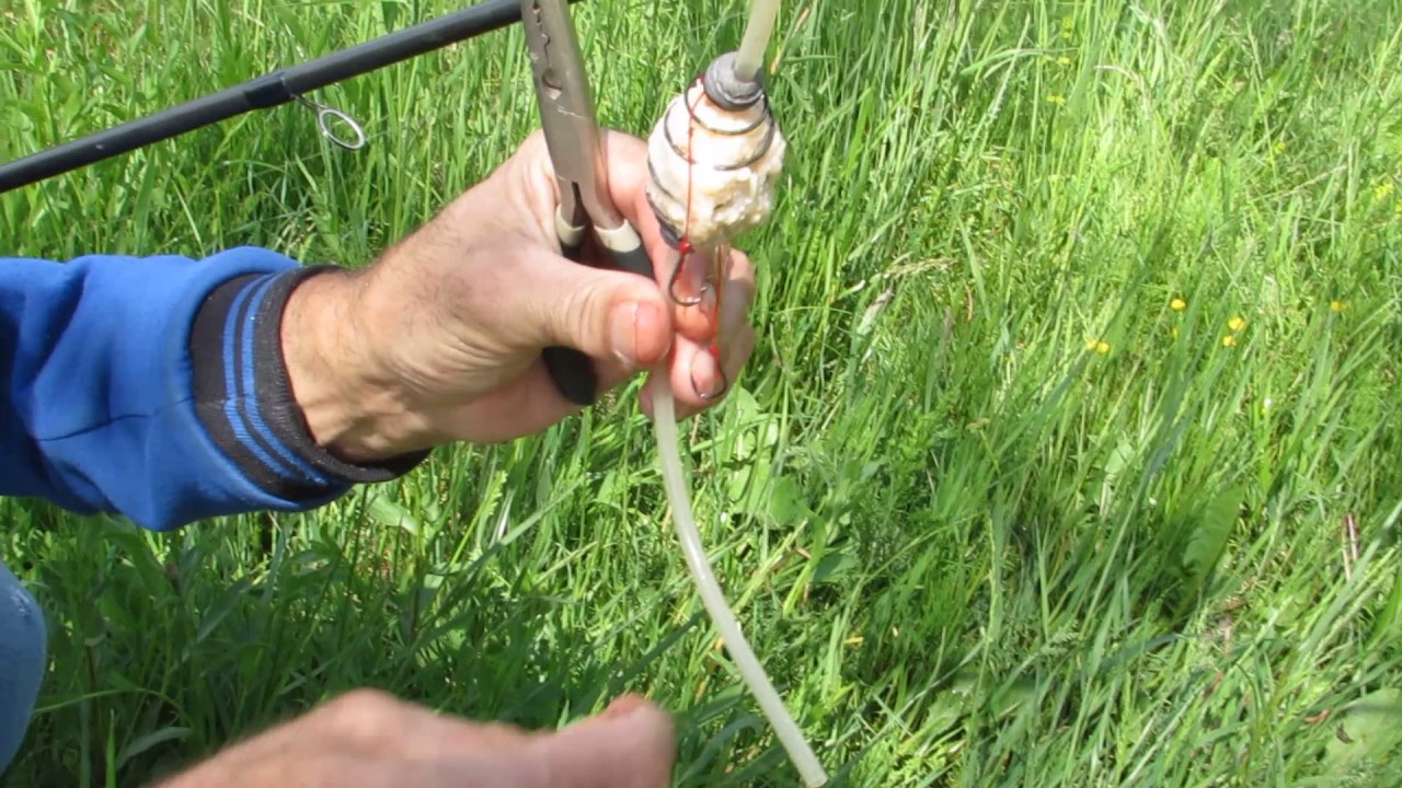 Pecanje sarana Jezero Borovica