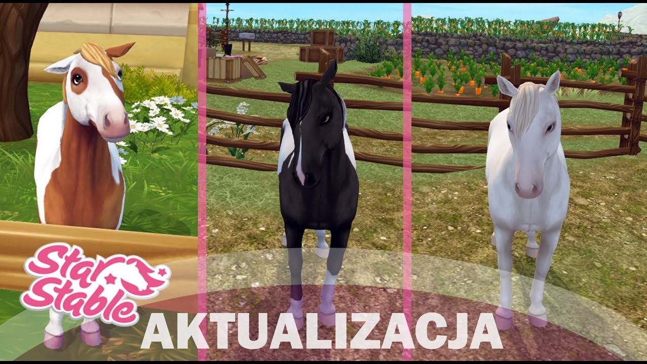 Nowe kucyki chincoteague! - Star Stable Aktualizacja