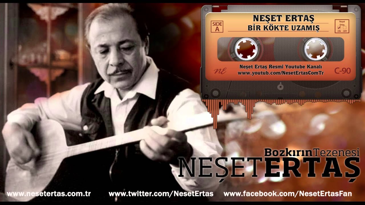 Neşet Ertaş - Bir Kökte Uzamış