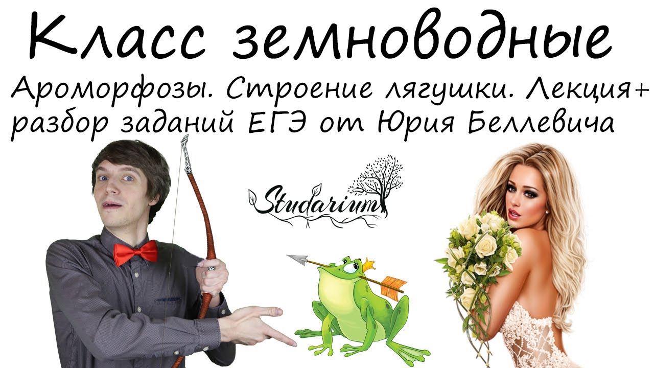 Класс земноводные (амфибии). Ароморфозы. Лягушка. Лекция и разбор заданий от Юрия Беллевича