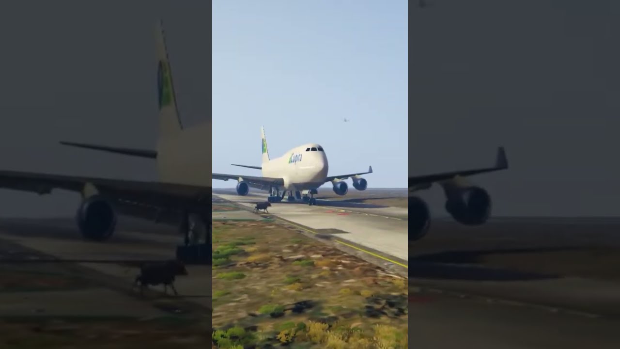 Cow Accidentally Comes Runway During Airplane Emergency Landing Gtav