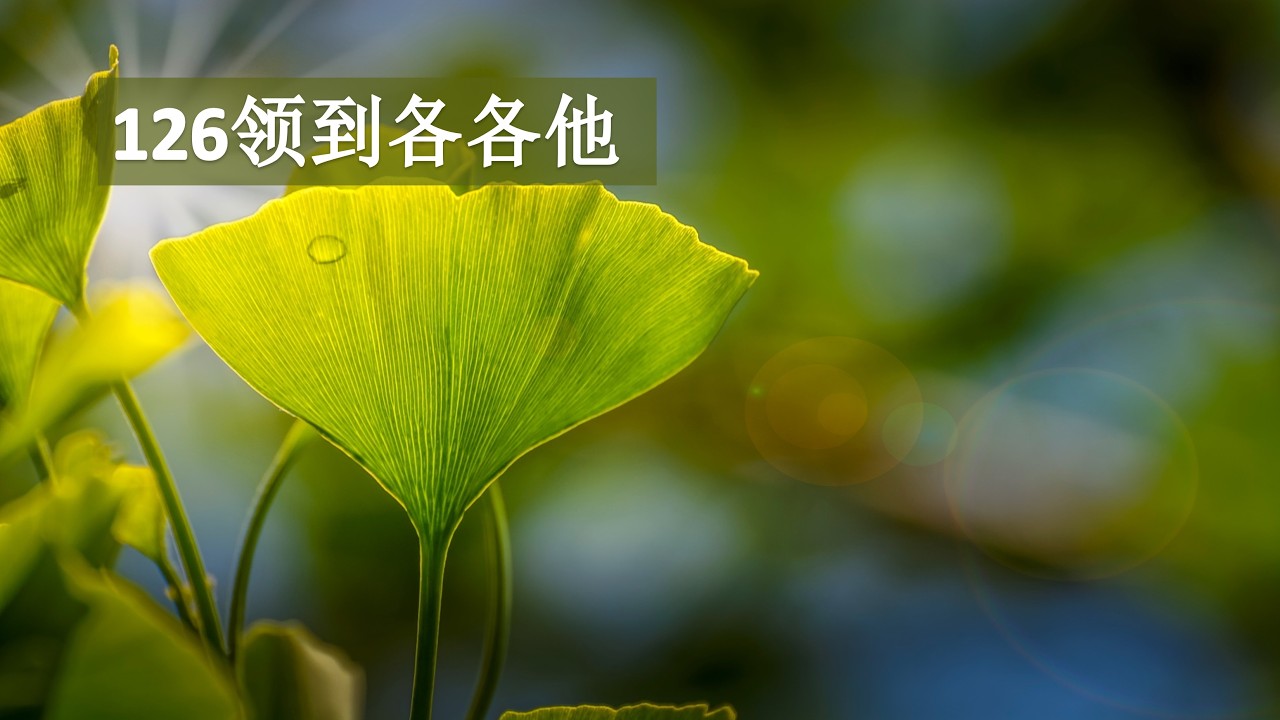 126领到各各他