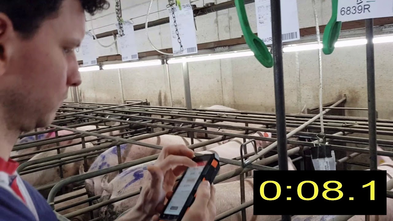 PigExpert Mobile   Snel werken dekstal