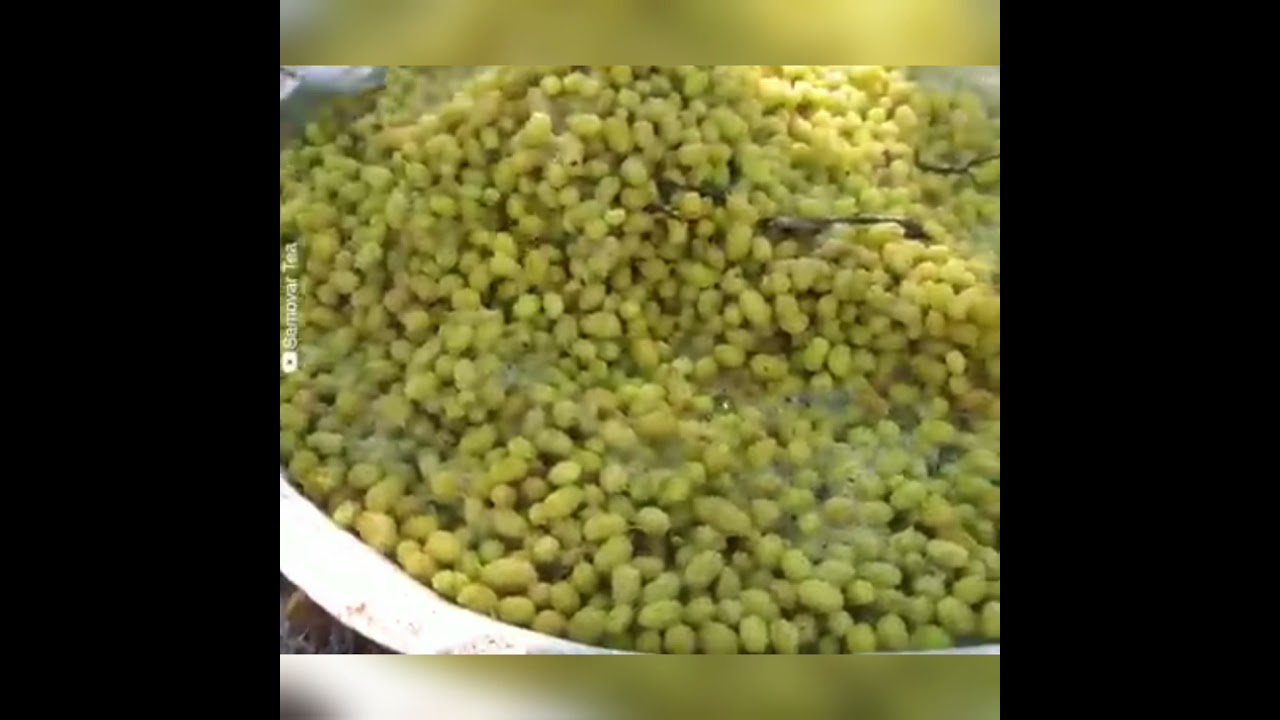 This is the traditional way of doing mulberry molasses 😋