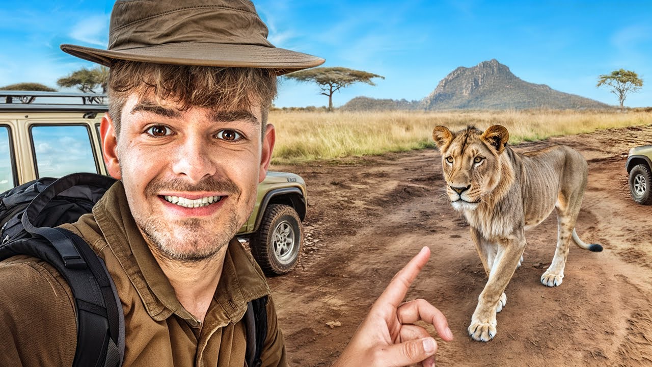 Poszukiwania lwa na Dzikim Safari 🦁