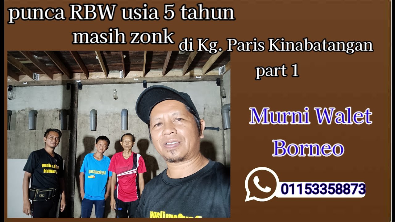 PUNCA RBW usia 5 tahun MASIH ZONK_ di Kg. Paris Kinabatangan part 1