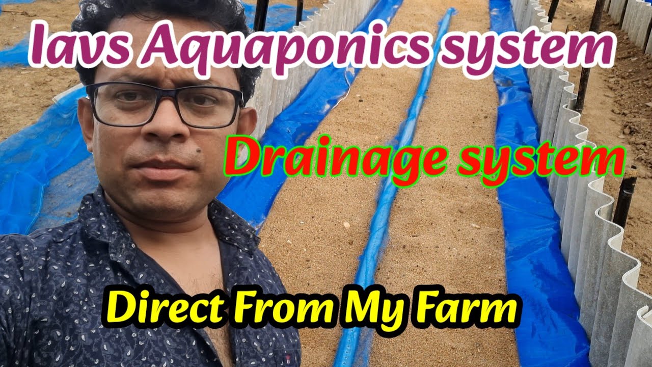 Iavs Aquaponics Drainage system information from my farm#aquaponic #hydroponics