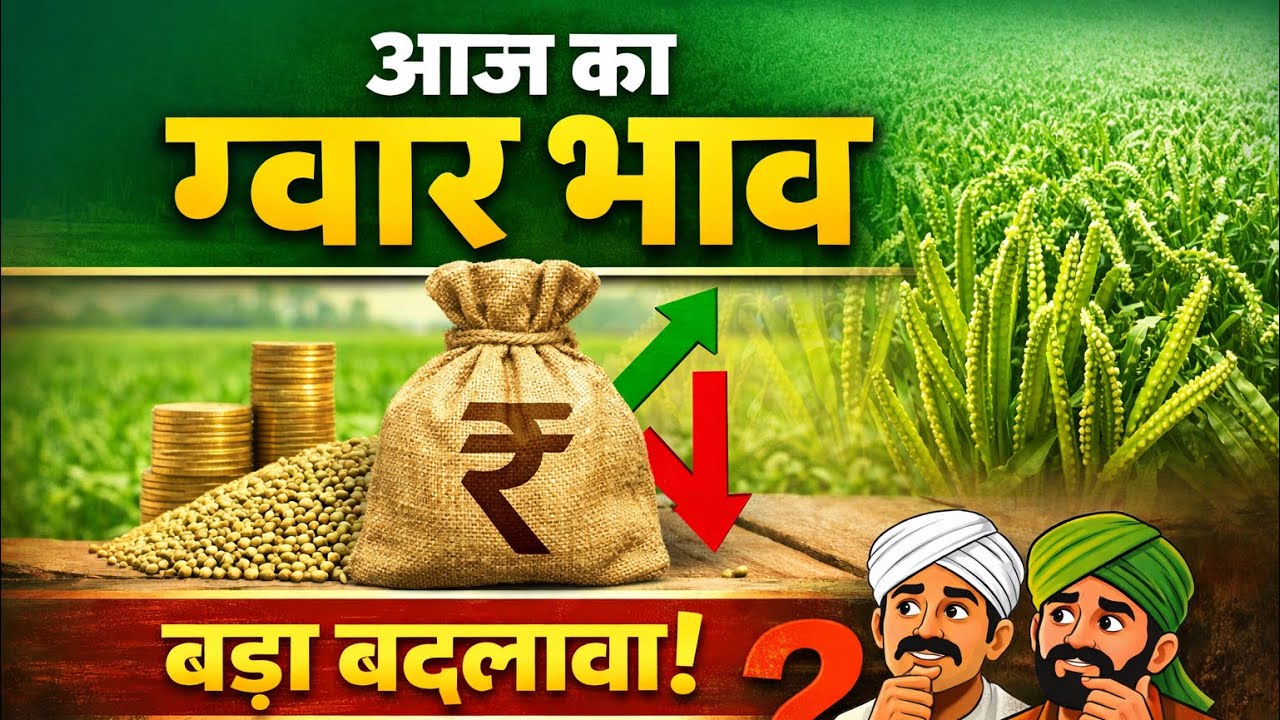 आज का ग्वार भाव | तेजी आएगी या गिरावट? | किसान फैसला”