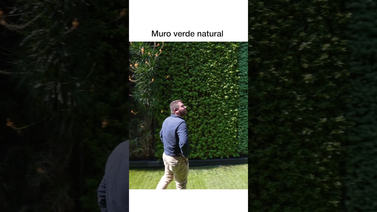 Muro verde natural 