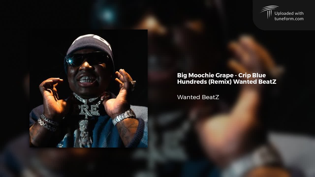 Big Moochie Grape - Crip Blue Hundreds (Remix) Wanted BeatZ