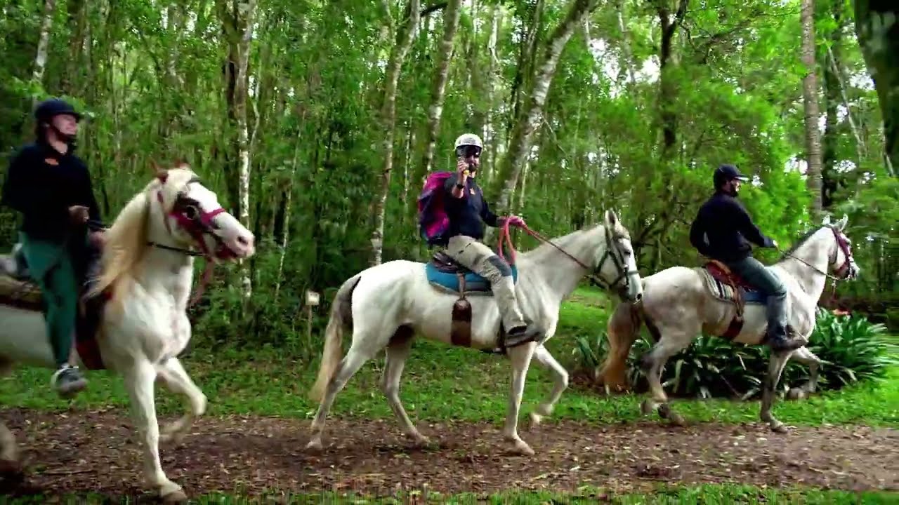 Cavalgadas Aventoriba - Serra da Mantiqueira, Campos do Jord&atilde;o, SP