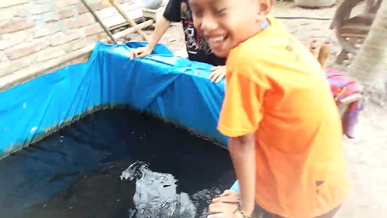 LELE BUDIDAYA VS IKAN KECIL DARI PARIT || 2/365