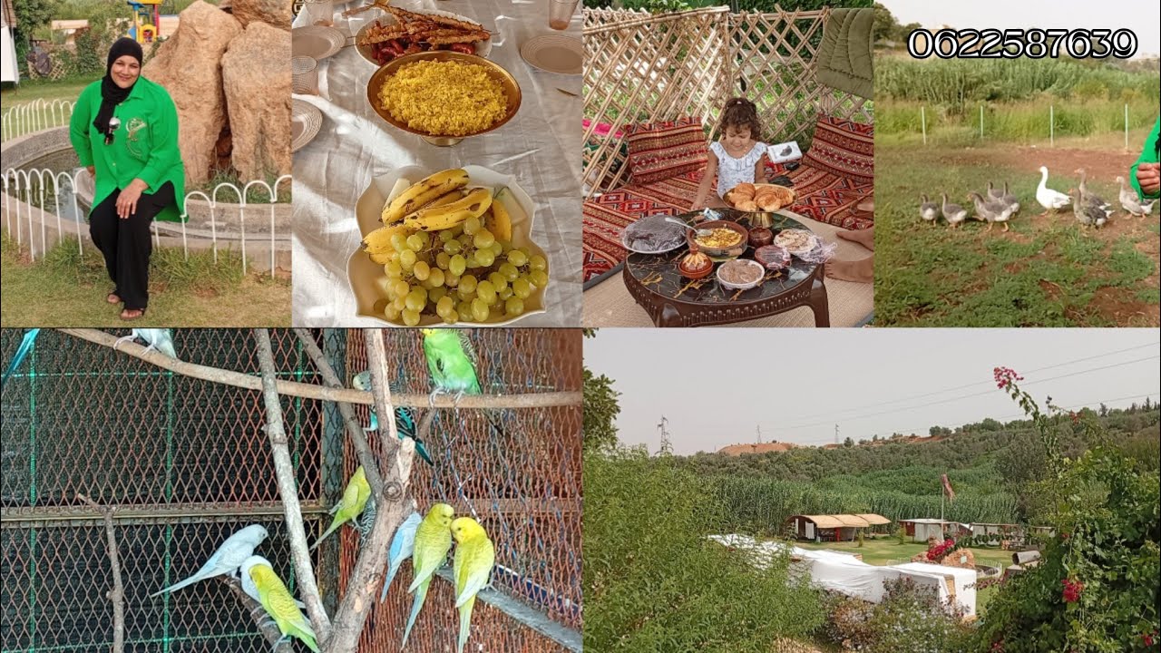 احسن مزرعة و منتزه شافتو عيني في مدينة مكناس | مزرعة اللقالق 🪿🧺