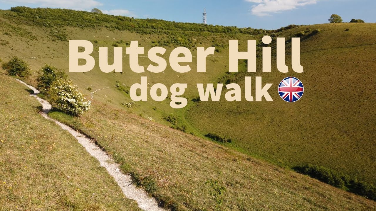 Butser Hill National Nature Reserve walk with dogs - Hampshire virtual relaxing walk