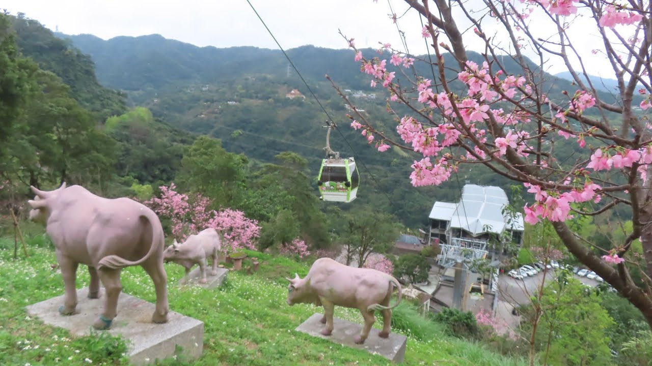 20260228指南宮後山漫漫走