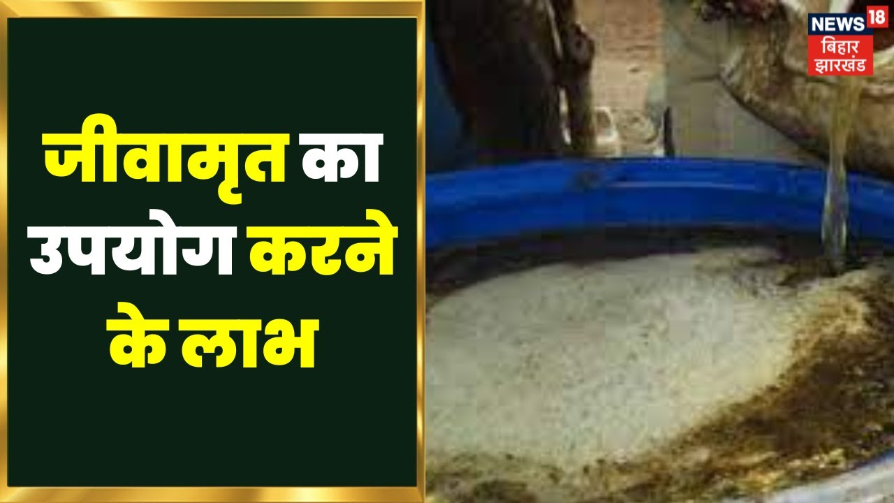 Annadata : जीवामृत खाद क्या है 2023  यहाँ जानें - Organic Jivamrit | Jeevamrit Kya Hai | Agriculture
