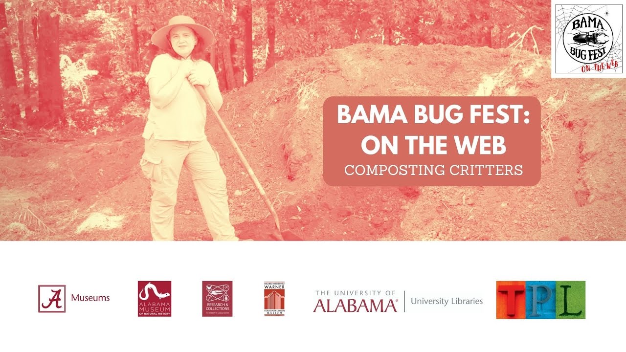 Bama Bug Fest: On the Web - Composting Critters