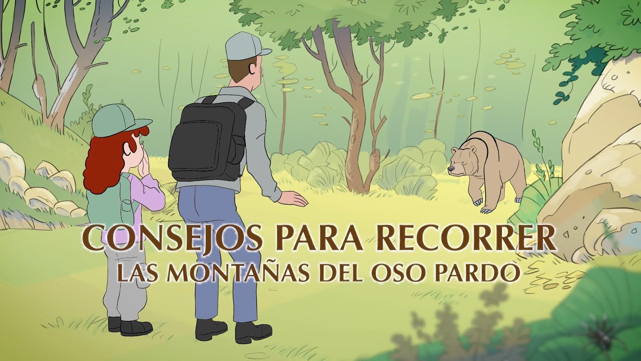 Consejos para recorrer las montañas del oso pardo