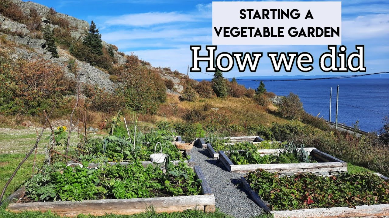 Starting a vegetable garden: A look back at how we did ours. Newfoundland gardening