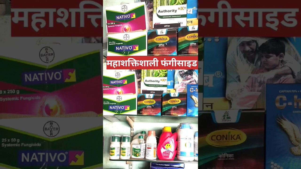 सभी प्रकार के शक्तिशाली फंगीसाइड 🔥💯 All powerfull fungicide for plant, brand Fungicide #shorts