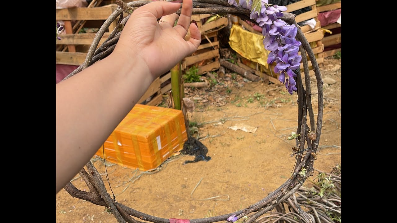 0977847453  tử đằng thân leo hoa thơm
