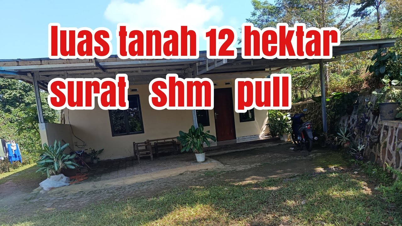 Di jual  luas 12 hektar pull shm 