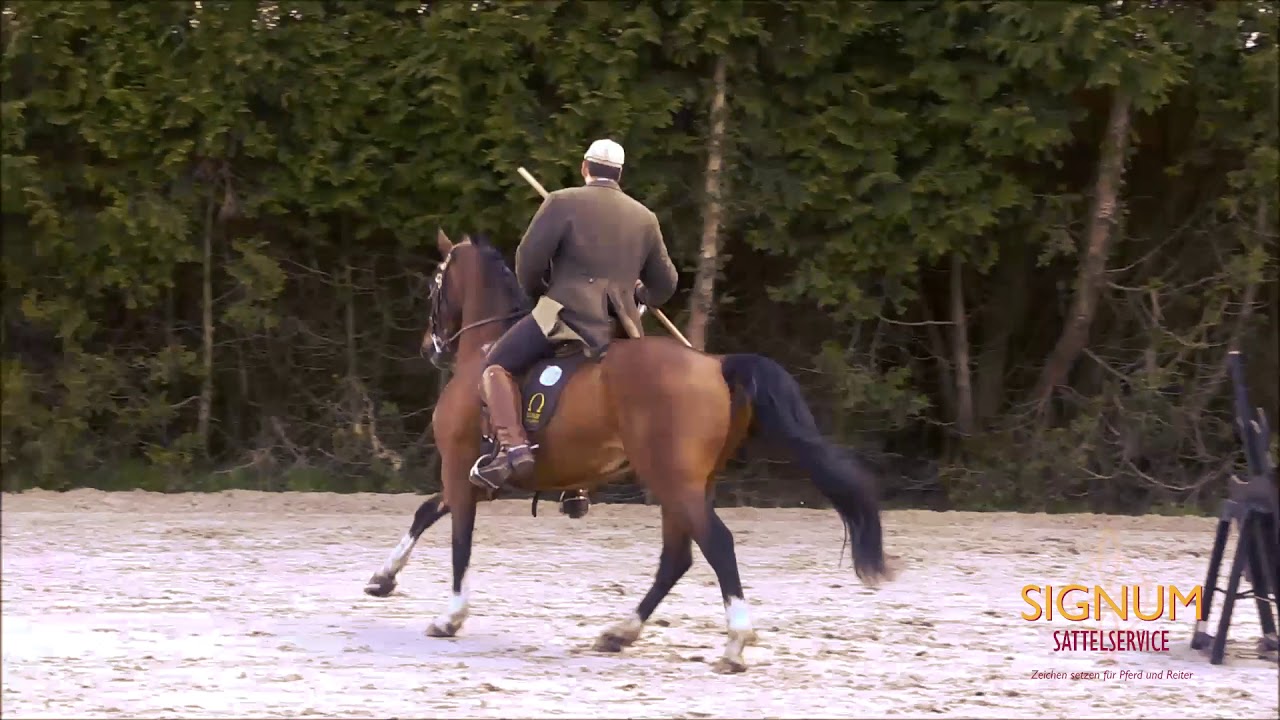 Working Equitation Stiltrail & Speedtrail GernotWeber Pianova Trophy 2017