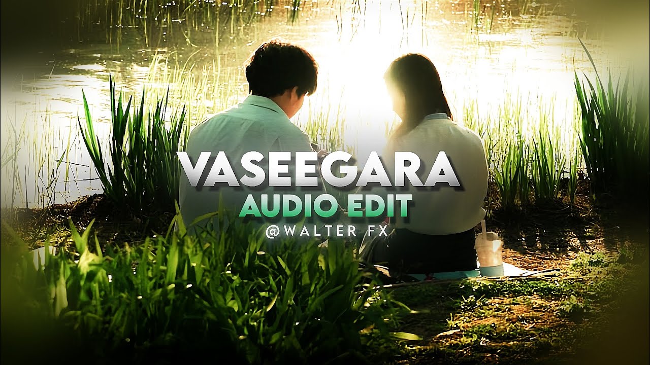 Vaseegara-Minnale[audio edit]