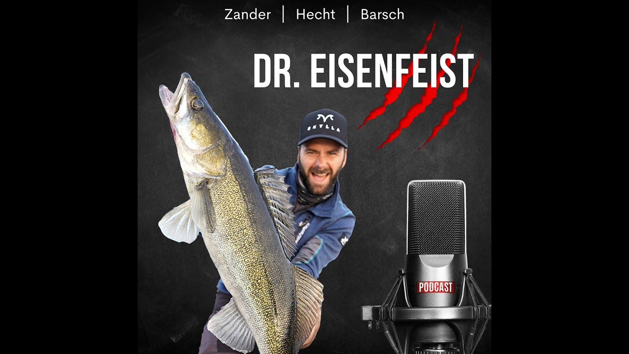 #4 Angeln bei Hochwasser - so fängst du Zander, Hecht und Barsch!