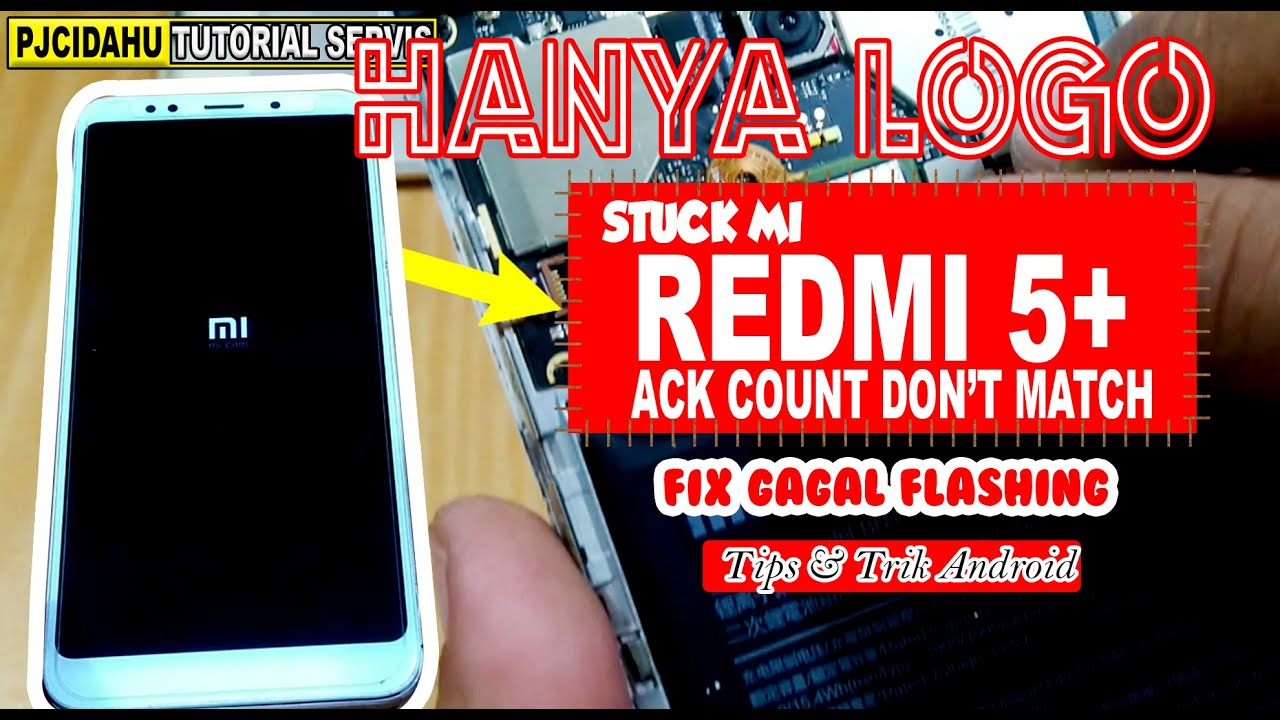 Cara Mengatasi Redmi 5 Plus Stuck di Logo MI Bandel !!!