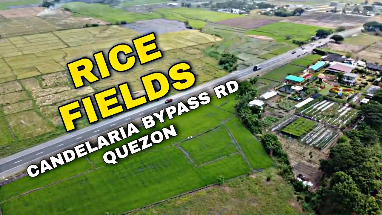 CANDELARIA BYPASS RD. QUEZON | DJI MAVIC MINI PH